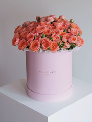 Розы Пионер Бабблз в коробке XL