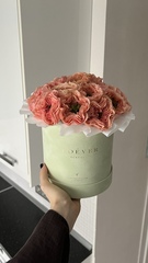 Розы Питер Парк в коробке M