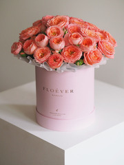 Розы Пионер Бабблз в коробке М