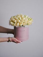 Тюльпаны Чирс Мейт в коробке M