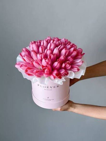 Тюльпаны темно-розовые в коробке M