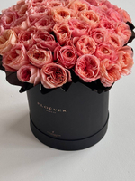 Розы Лондон Таймс в коробке XL