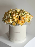 Розы Сильва Санни в коробке XL