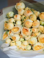 Розы Сильва Санни в букете M