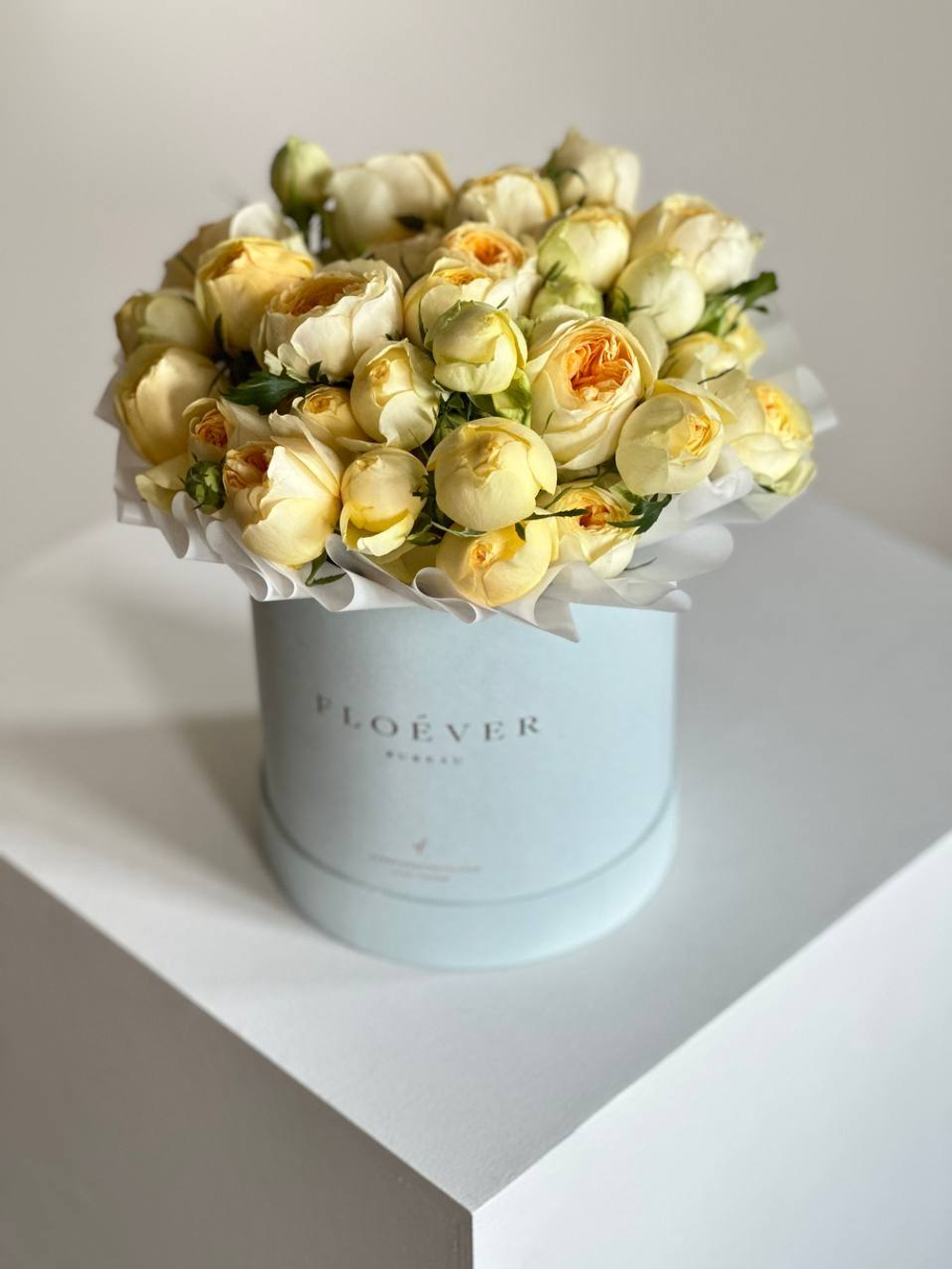 Розы Сильва Санни в коробке М