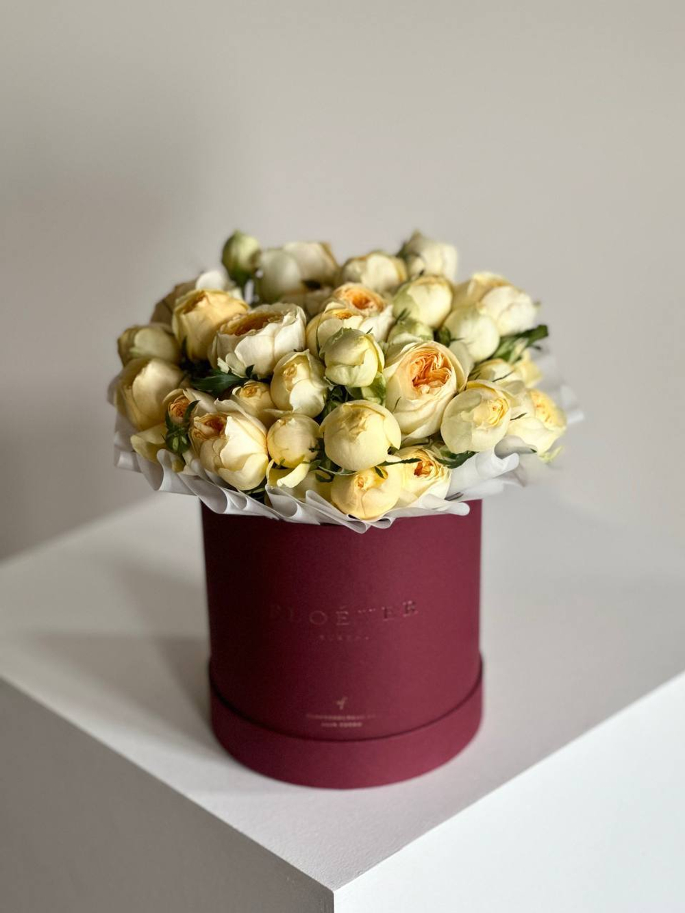 Розы Сильва Санни в коробке М