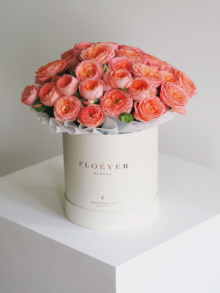 Розы Пионер Бабблз в коробке М