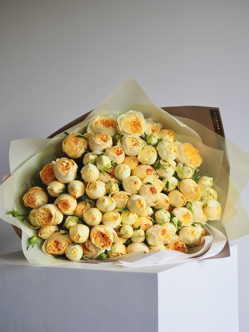 Розы Сильва Санни в букете M