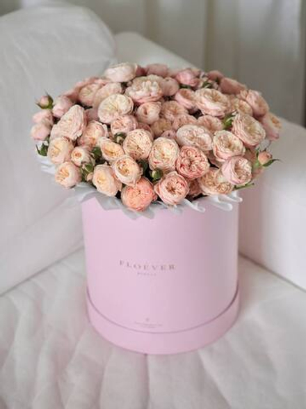 Розы Роял Блаш в коробке XL