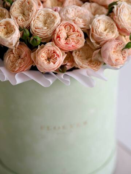 Розы Роял Блаш в коробке XL