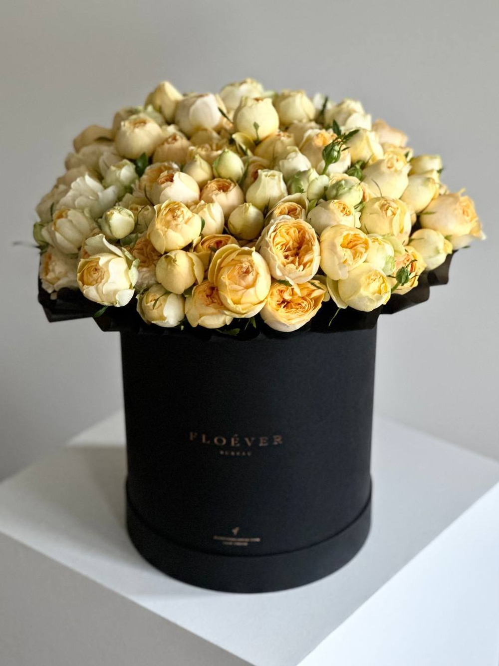 Розы Сильва Санни в коробке XL