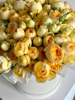 Розы Сильва Санни в коробке XL