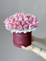 Тюльпаны Фейр Прайс в коробке M