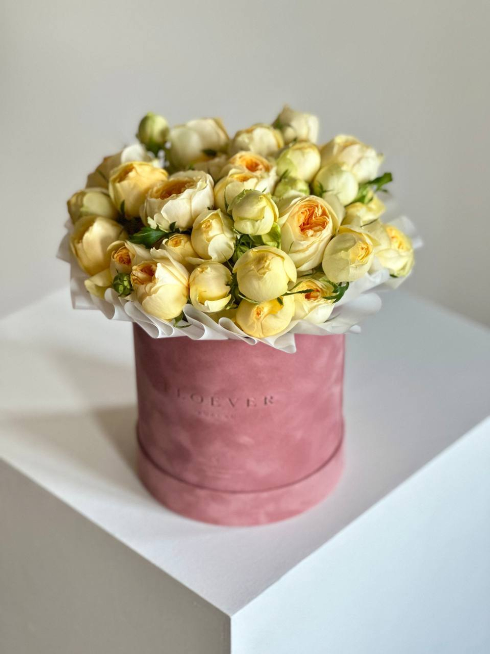 Розы Сильва Санни в коробке М