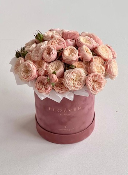 Розы Роял Блаш в коробке M