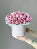 Тюльпаны Фейр Прайс в коробке M