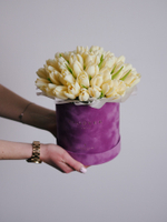 Тюльпаны Чирс Мейт в коробке M