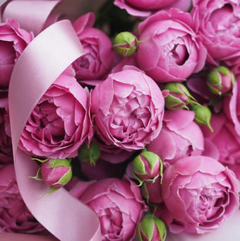 Кустовые розы