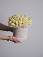 Тюльпаны Чирс Мейт в коробке M