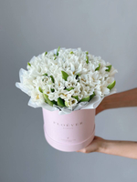 Тюльпаны белые кружевные в коробке M