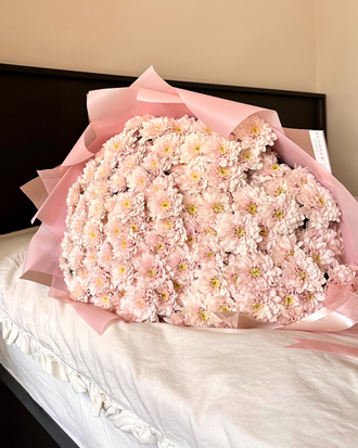 Сезон хризатем