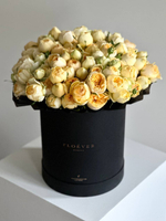 Розы Сильва Санни в коробке XL