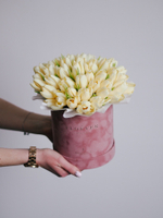 Тюльпаны Чирс Мейт в коробке M