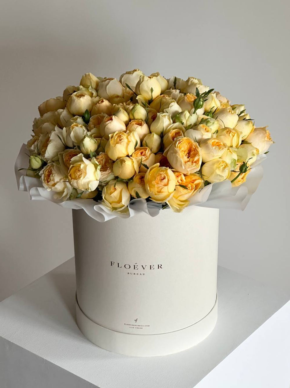 Розы Сильва Санни в коробке XL