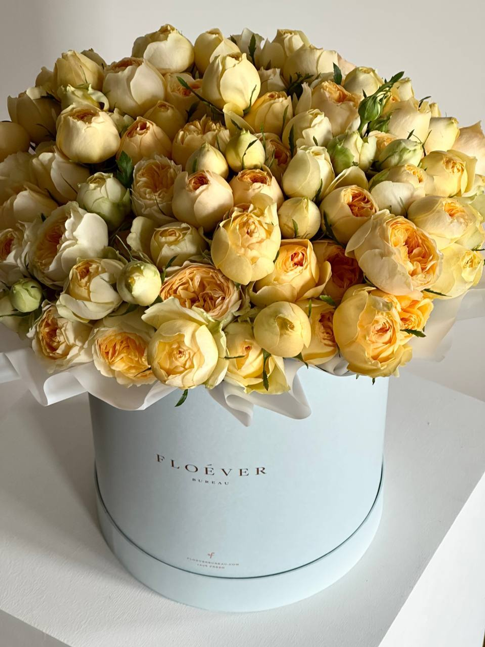 Розы Сильва Санни в коробке XL