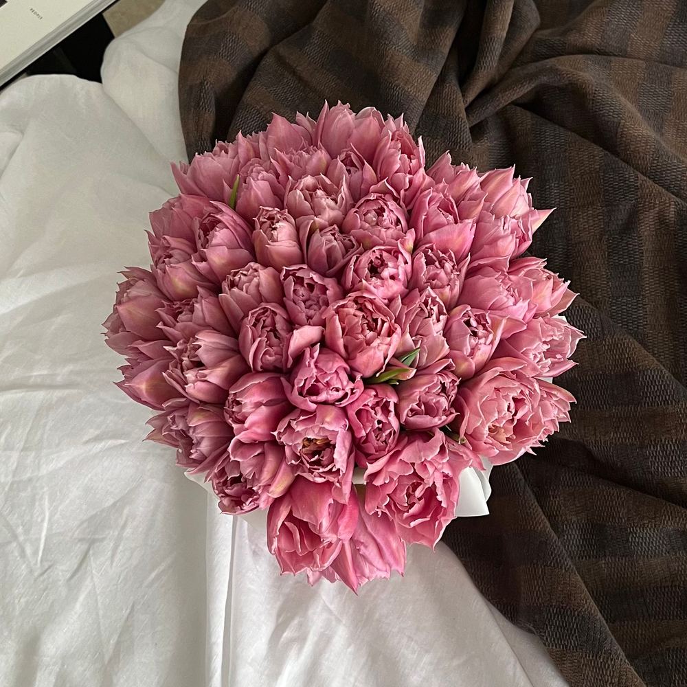 Тюльпаны Фейр Прайс в коробке M