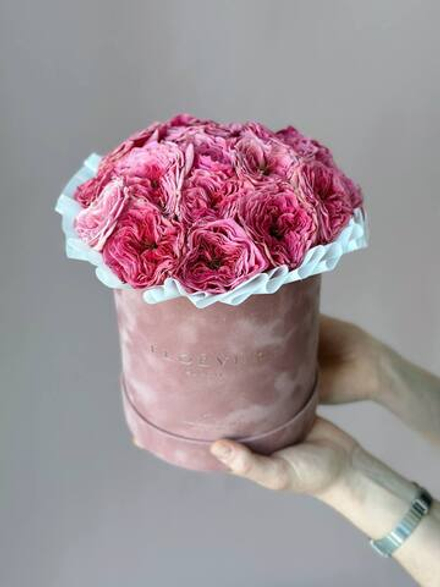 Розы Риджентс Парк в коробке M