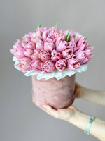 Тюльпаны Фейр Прайс в коробке M