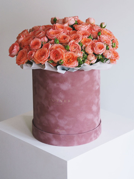 Розы Пионер Бабблз в коробке XL