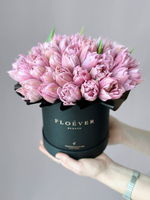 Тюльпаны Фейр Прайс в коробке M