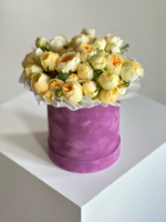 Розы Сильва Санни в коробке М