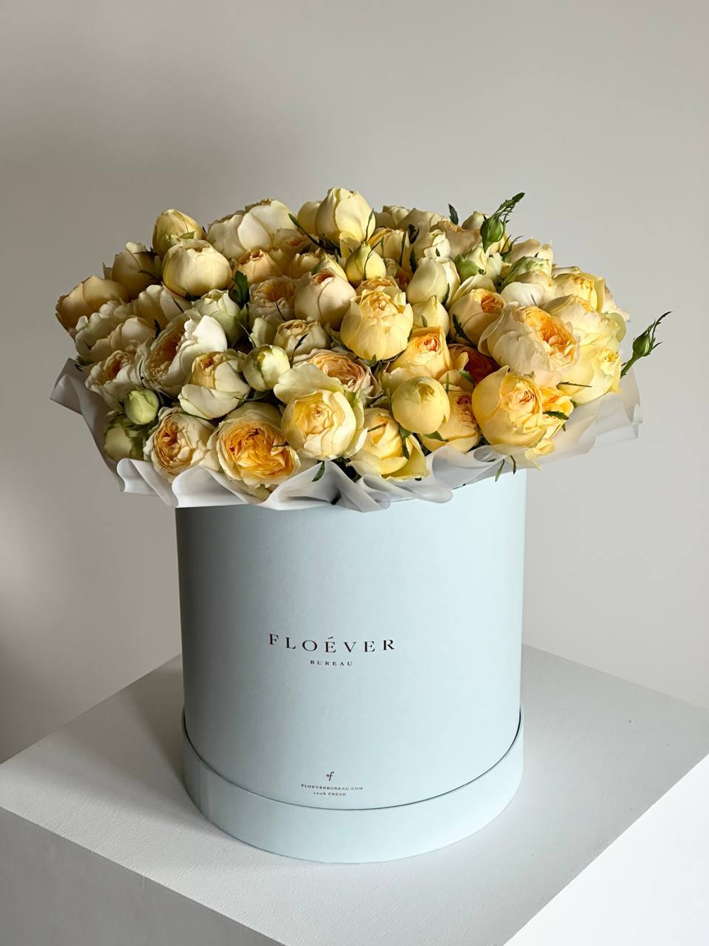 Розы Сильва Санни в коробке XL