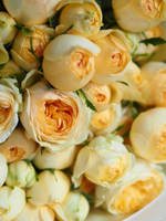 Розы Сильва Санни в букете M