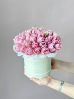 Тюльпаны Фейр Прайс в коробке M