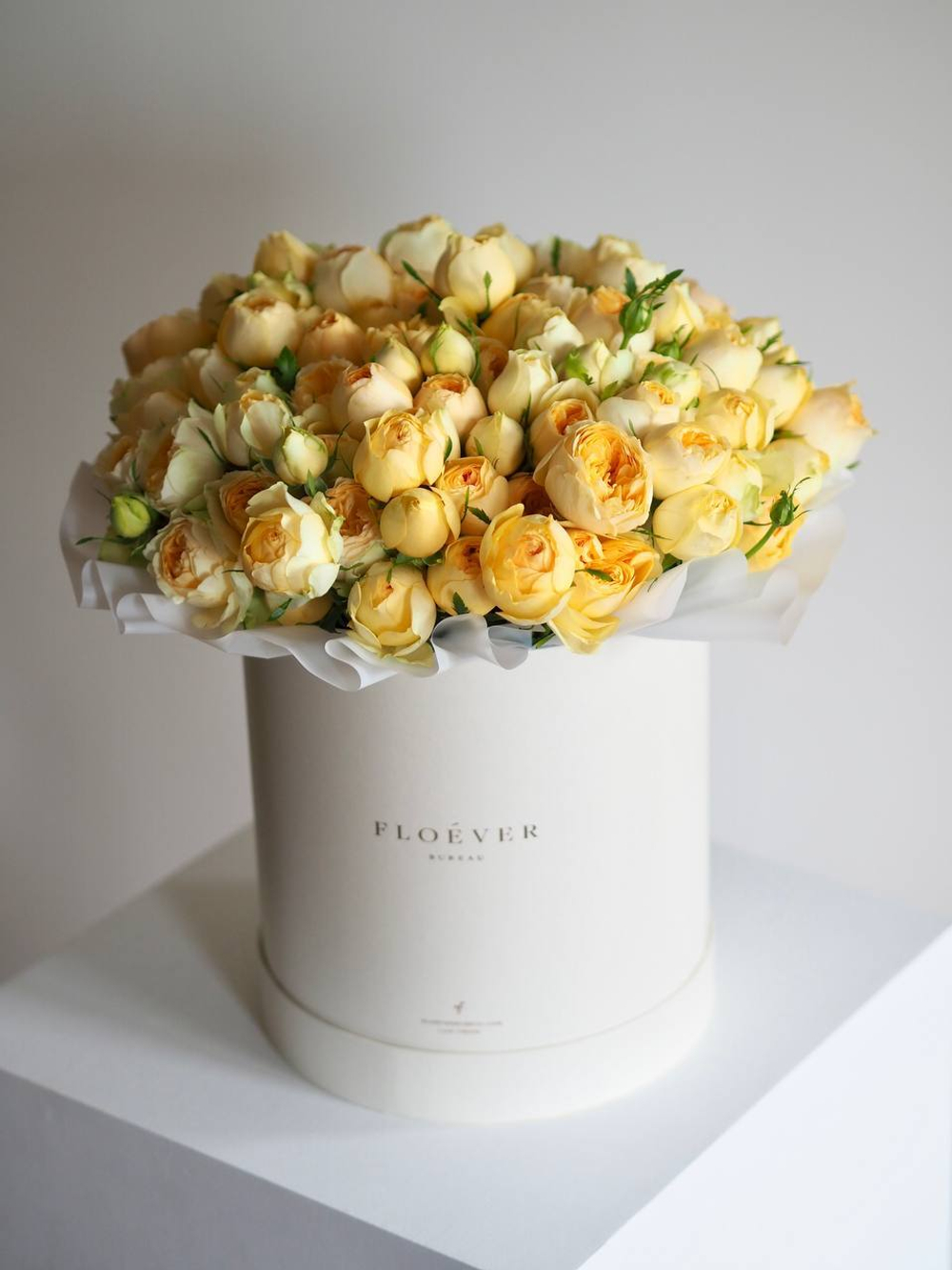 Розы Сильва Санни в коробке XL