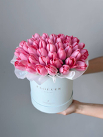 Тюльпаны темно-розовые в коробке M