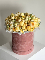 Розы Сильва Санни в коробке XL