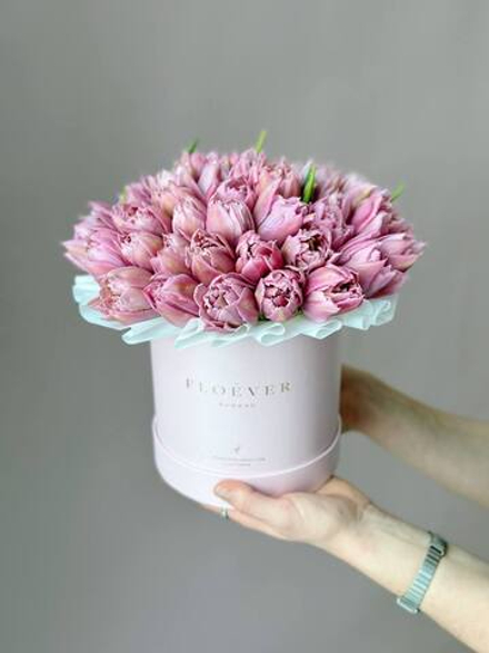 Тюльпаны Фейр Прайс в коробке M