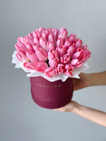 Тюльпаны темно-розовые в коробке M