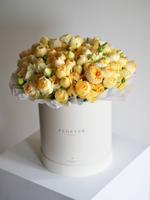 Розы Сильва Санни в коробке XL