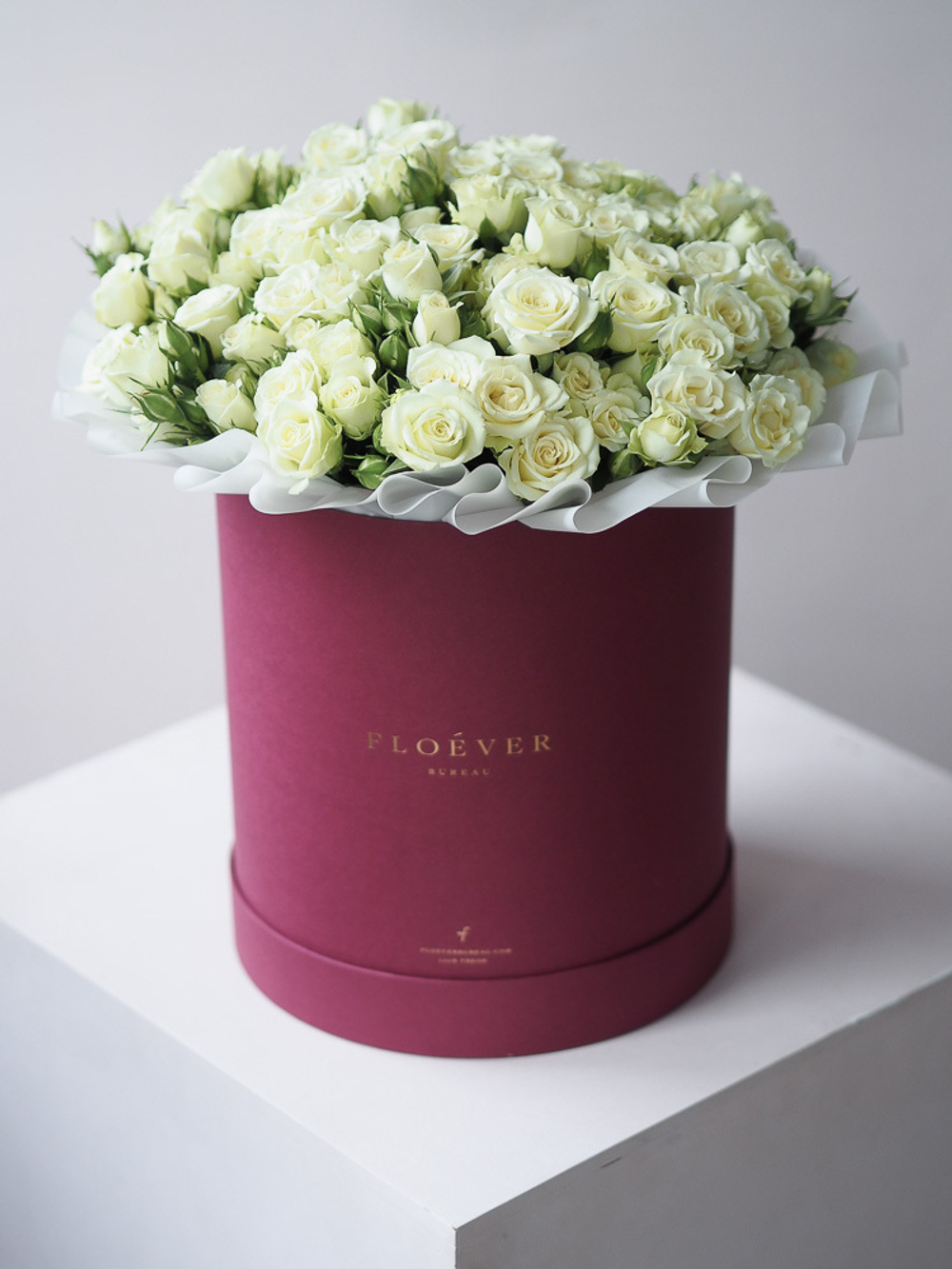 Кустовые розы Сноуфлейк в коробке XL