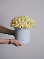 Тюльпаны Чирс Мейт в коробке M