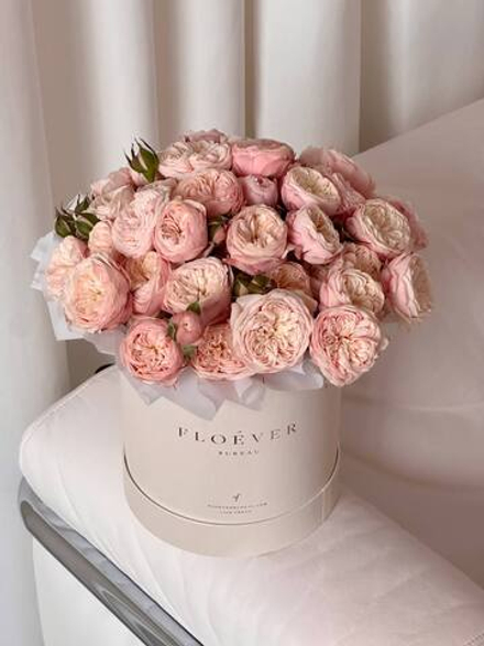 Розы Роял Блаш в коробке M