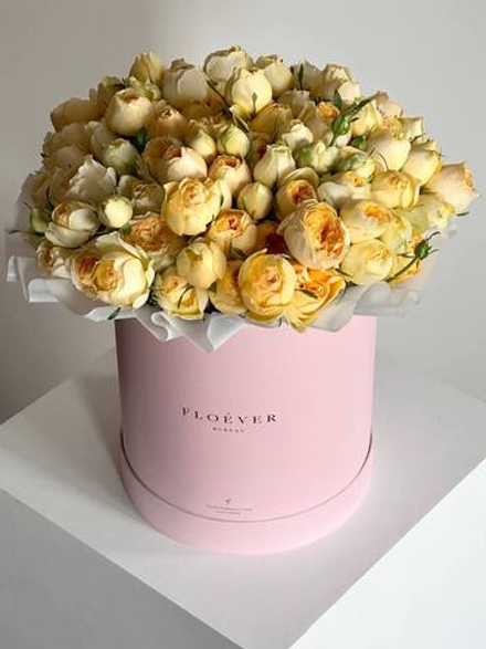 Розы Сильва Санни в коробке XL