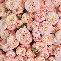 Букеты от 25 000