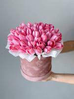 Тюльпаны темно-розовые в коробке M